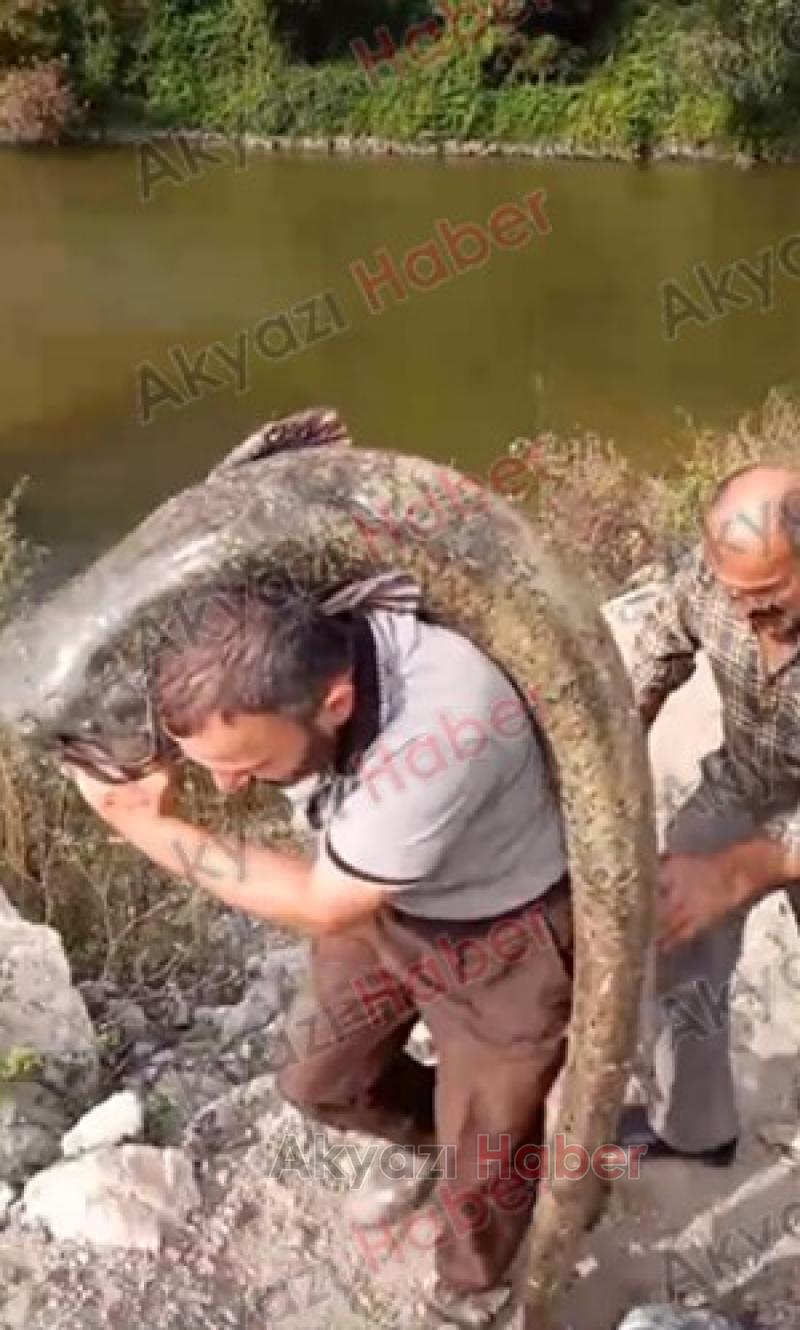 2 metreden büyük dev yayını böyle yakalamış