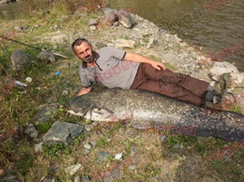 2 metreden büyük dev yayını böyle yakalamış