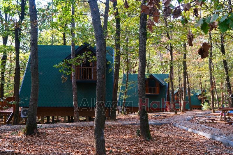 İl Ormanı’nda bungalov tatiline Büyükşehir güvencesi