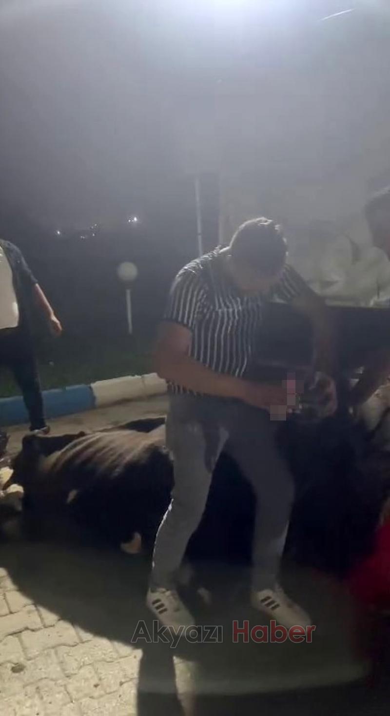 İneğe eziyet olayında şüpheliler serbest