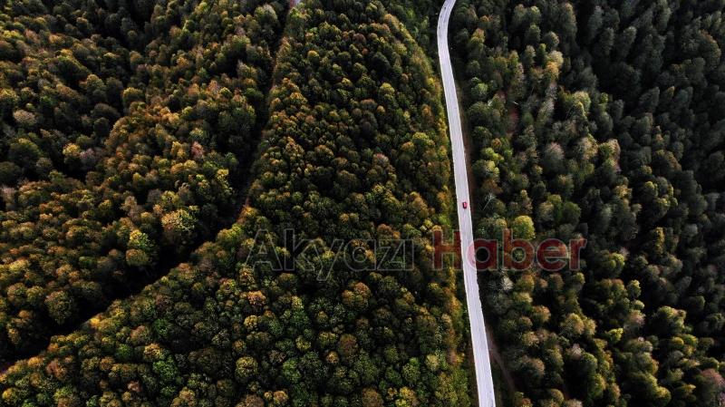 Çam Dağı’nda sonbaharın doğaya yansıyan tonları büyüledi