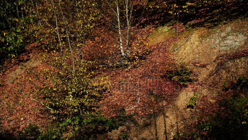 Çam Dağı’nda sonbaharın doğaya yansıyan tonları büyüledi