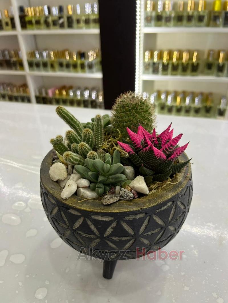 Miray Çiçekçilik'ten öğretmenler günü kampanyası