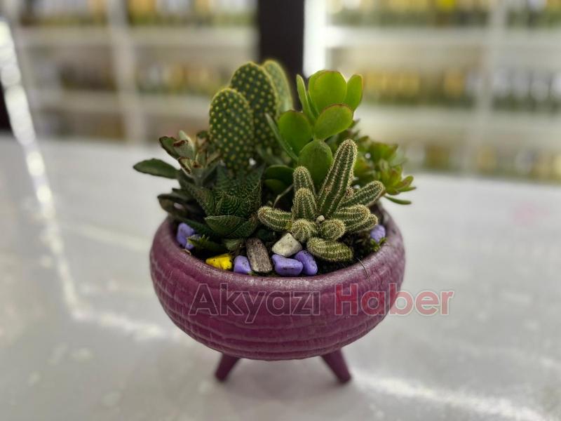 Miray Çiçekçilik'ten öğretmenler günü kampanyası