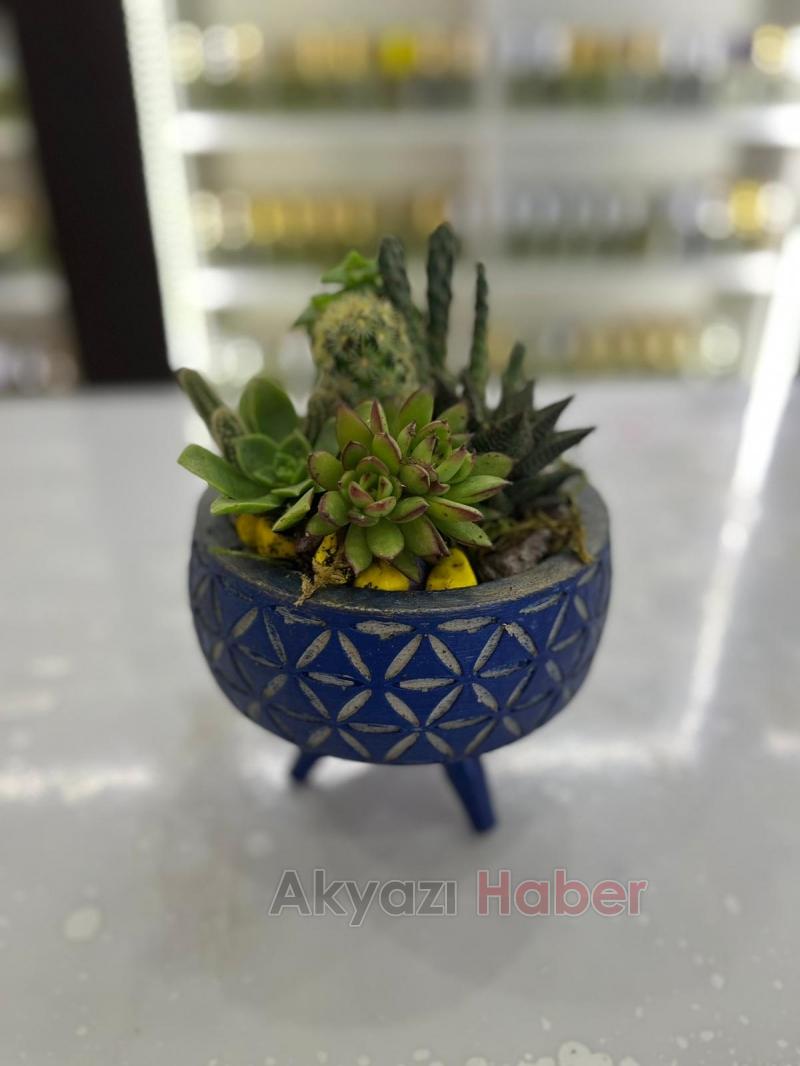 Miray Çiçekçilik'ten öğretmenler günü kampanyası