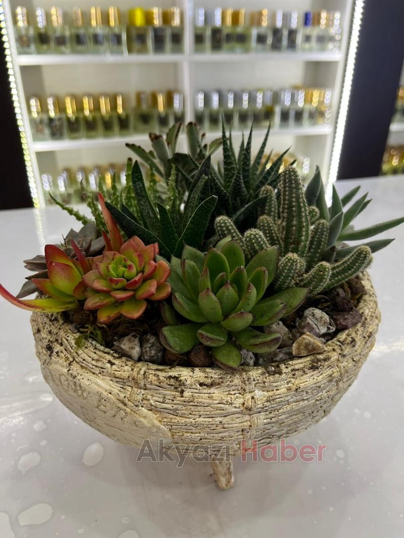 Miray Çiçekçilik'ten öğretmenler günü kampanyası