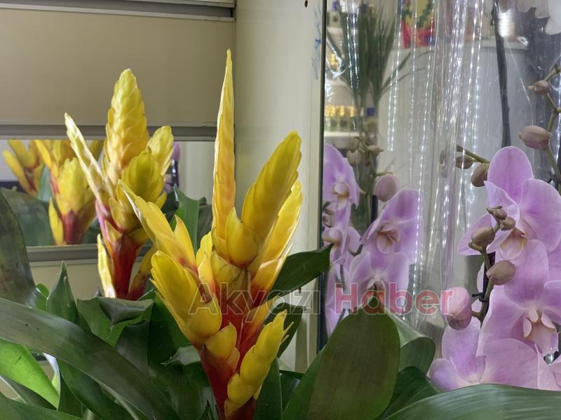 Miray Çiçekçilik'ten öğretmenler günü kampanyası