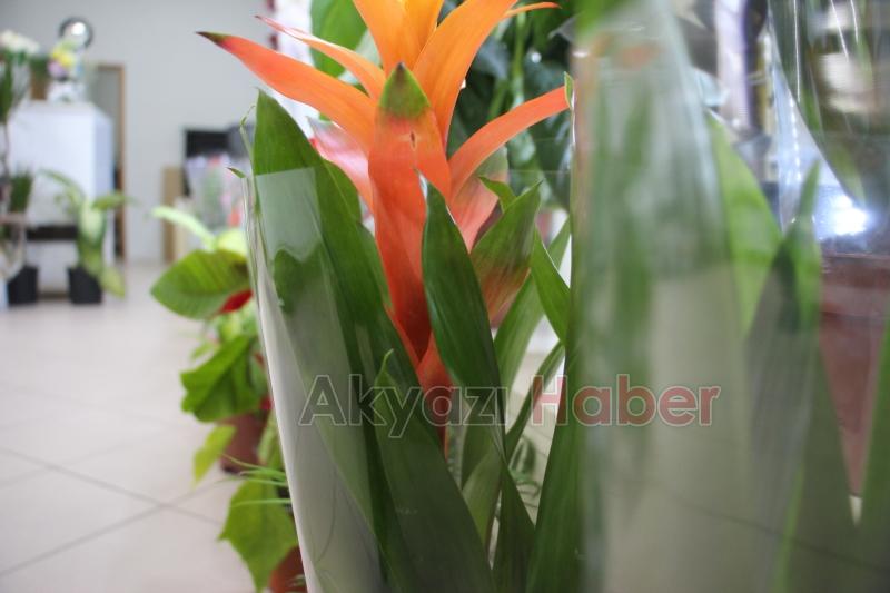 Miray Çiçekçilik'ten öğretmenler günü kampanyası