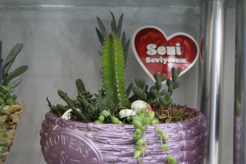 Miray Çiçekçilik'ten öğretmenler günü kampanyası