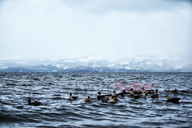 Büyükşehirden Sapanca Gölü açıklaması
