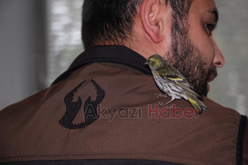 Baygın halde bulunan Kara başlı iskete tedavi altına alındı