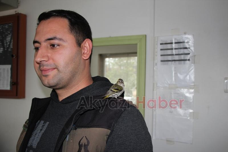 Baygın halde bulunan Kara başlı iskete tedavi altına alındı