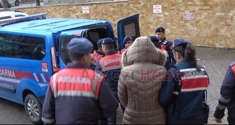 Köpek katliamında 4 kişi cezaevinde