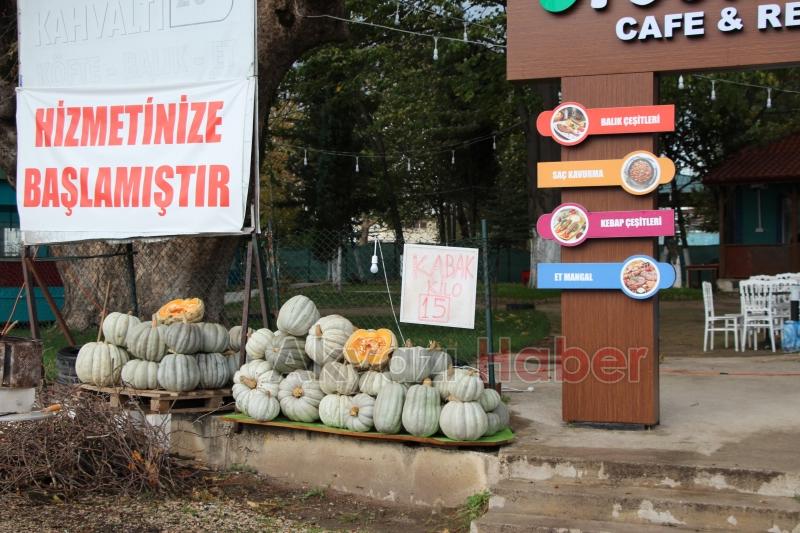 Green Garden Restoran Açıldı!