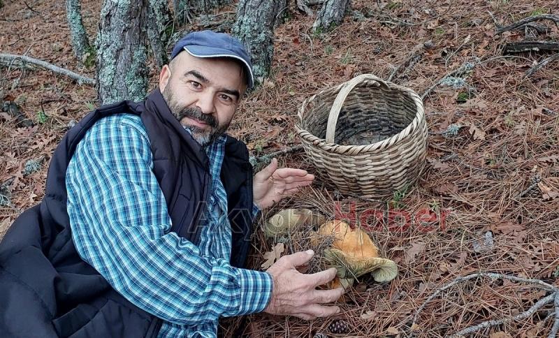 Dev kanlıca mantarları şaşırttı