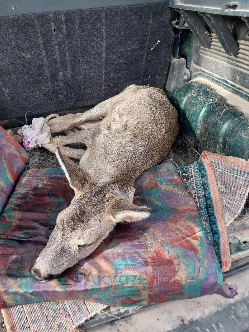 Karacayı son anda kurtardılar