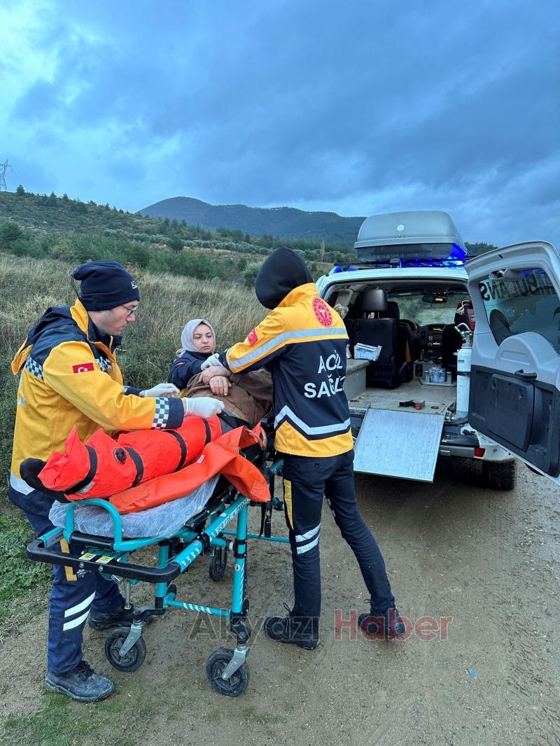 Mantar toplarken yaralandı