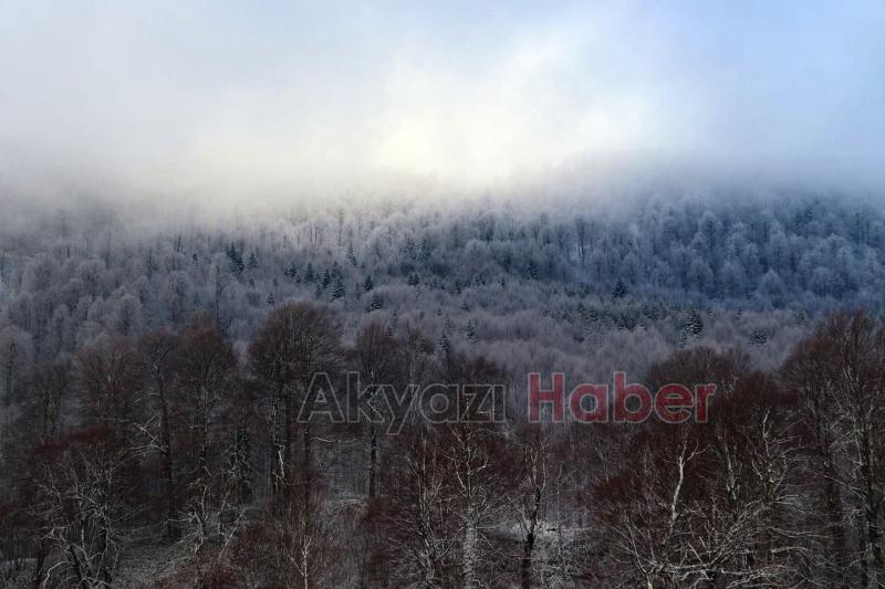 Karla buluşan doğadan kartpostallık manzaralar