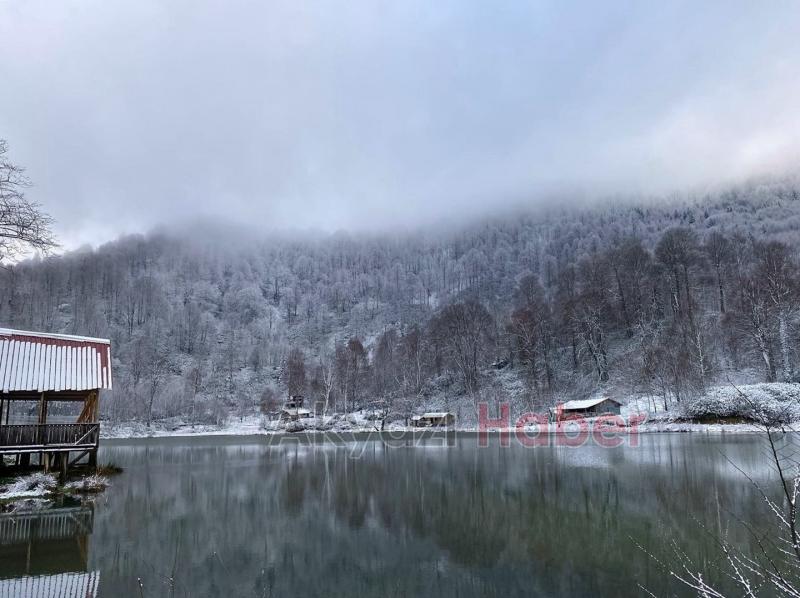 Karla buluşan doğadan kartpostallık manzaralar