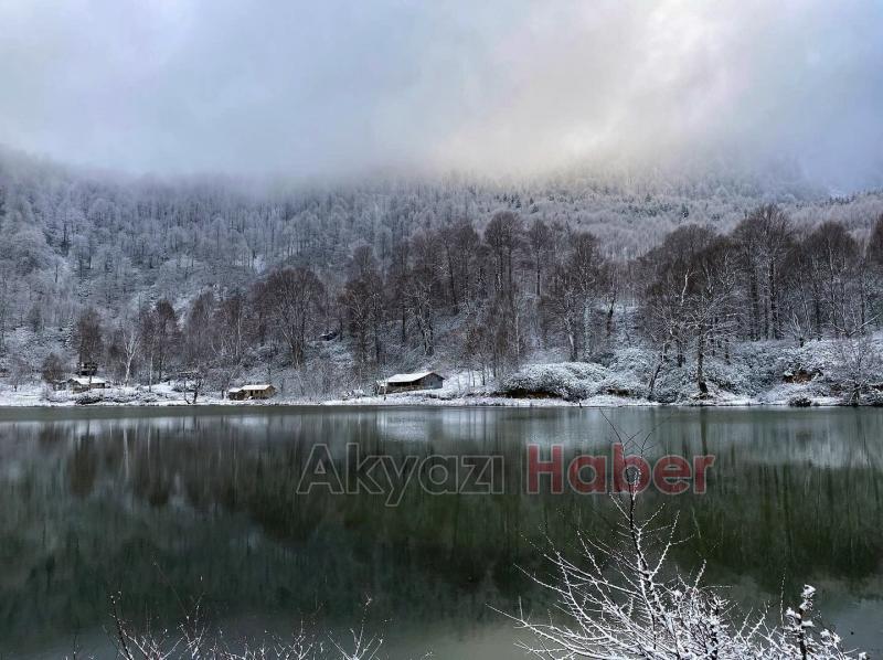 Karla buluşan doğadan kartpostallık manzaralar