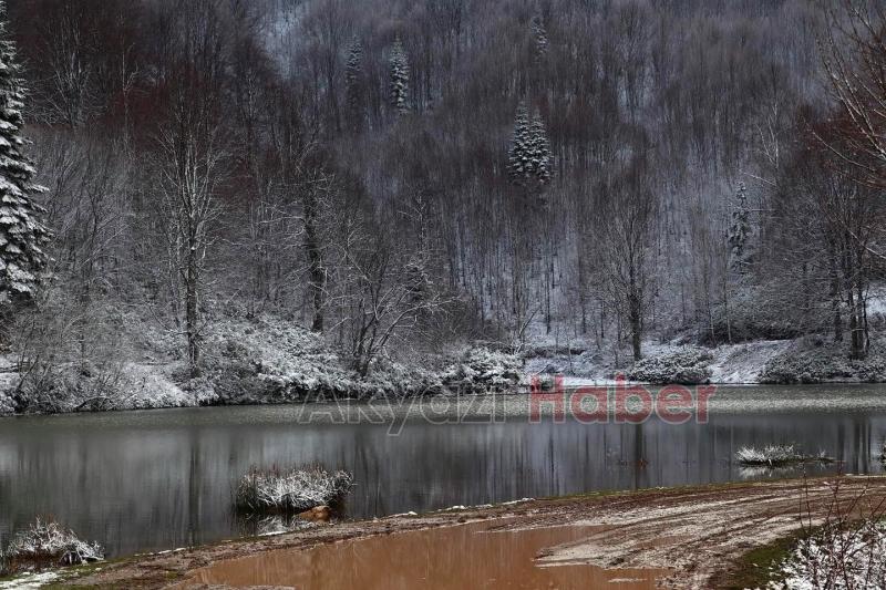 Karla buluşan doğadan kartpostallık manzaralar