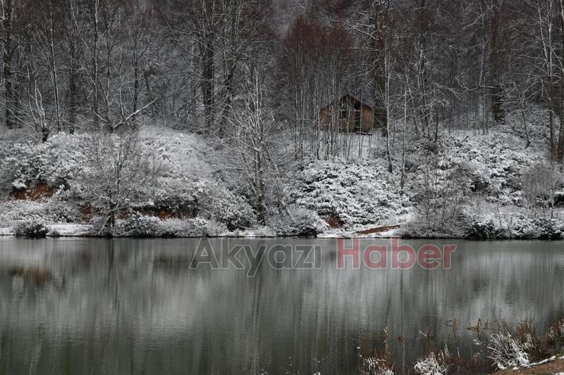 Karla buluşan doğadan kartpostallık manzaralar