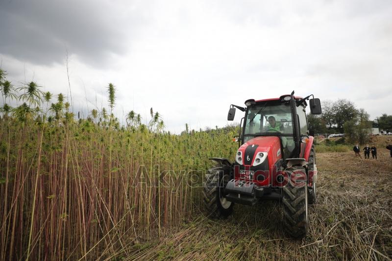 Büyükşehir projeleri tarımda Sakarya'ya can suyu oldu