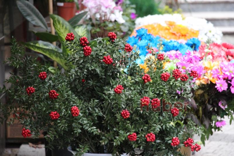 Yılbaşının simgelerinden 