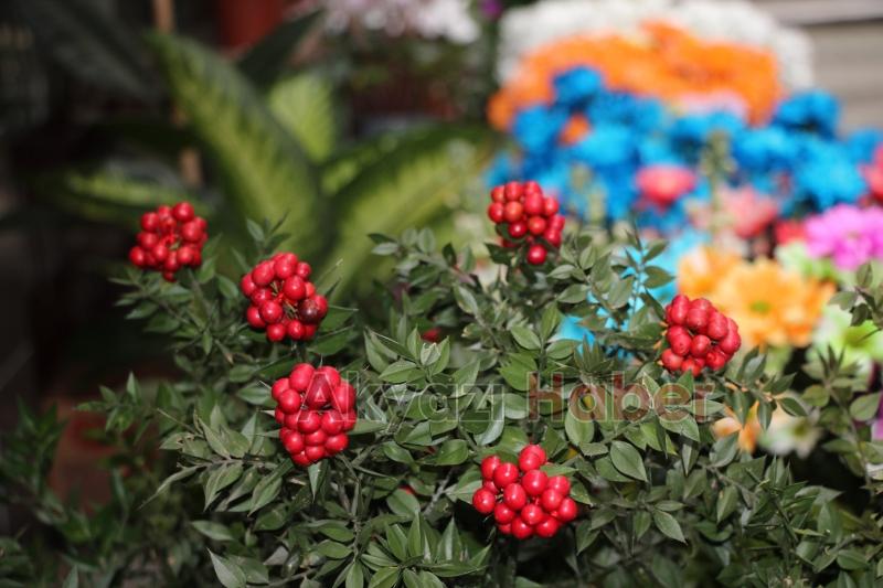 Yılbaşının simgelerinden 