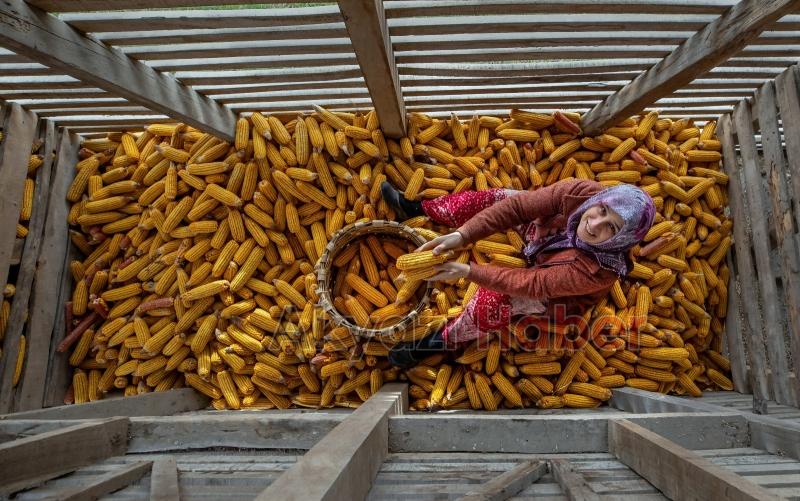4 Mevsim Akyazı’da Yaşam fotoğraf yarışması tamamlandı
