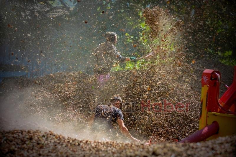 4 Mevsim Akyazı’da Yaşam fotoğraf yarışması tamamlandı
