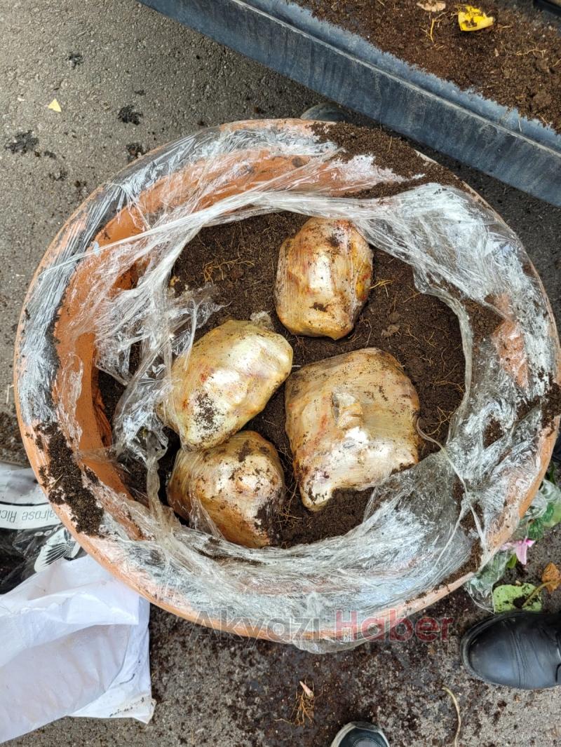 46,5 kilo skunk ele geçirildi