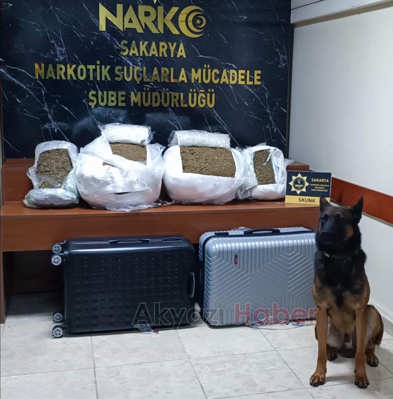 46,5 kilo skunk ele geçirildi