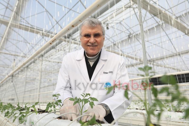 Toprağının bereketi Sakarya’yı dünya sahnesine taşıyor