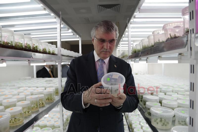 Toprağının bereketi Sakarya’yı dünya sahnesine taşıyor