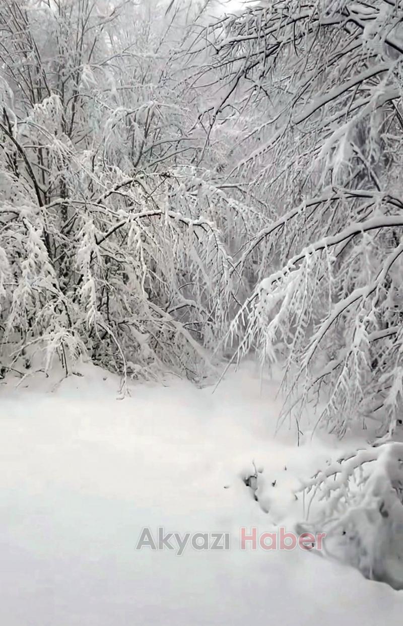 Sakarya’nın yüksek kesimlerine kar ile gelen güzellik