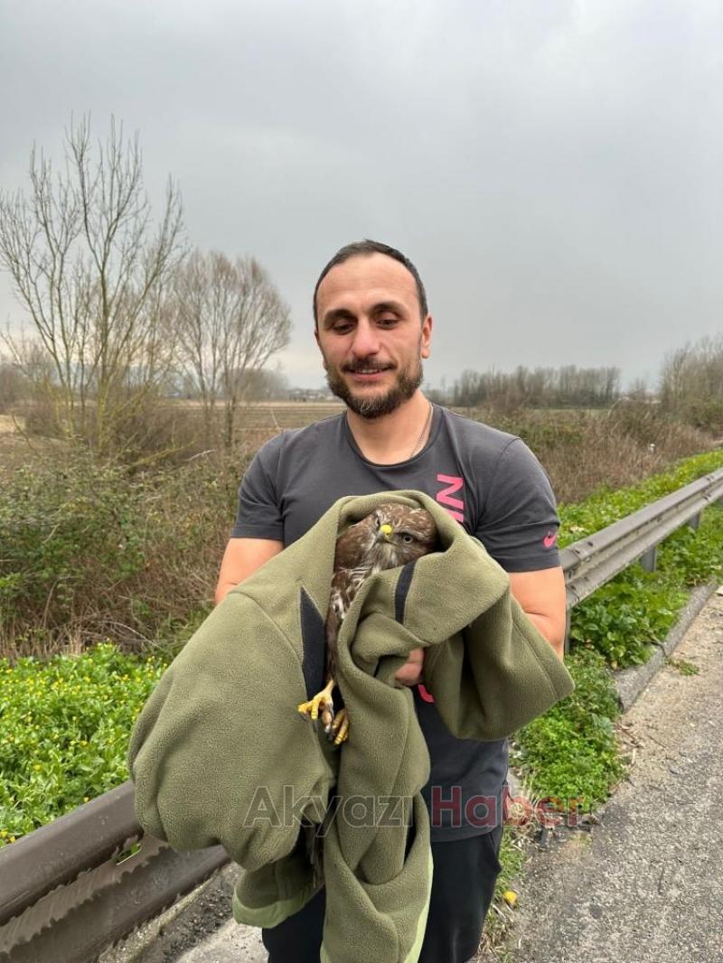 Şahini ölümden kurtardılar