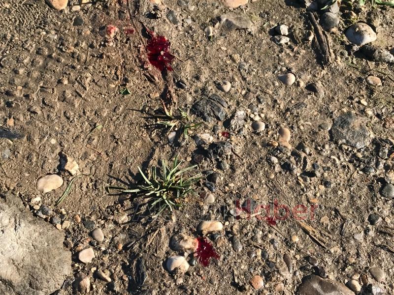 Arbede sırasında silah ateş adlı vuruldu