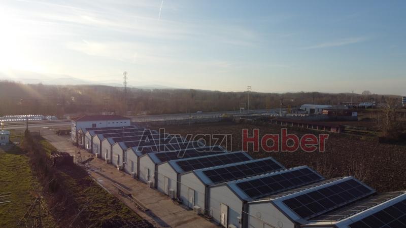 Girişimci çift, devlet desteğiyle kurdukları tesiste yıllık 200 ton kültür mantarı üretiyor