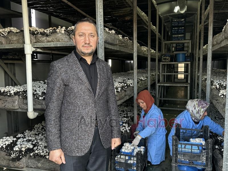 Girişimci çift, devlet desteğiyle kurdukları tesiste yıllık 200 ton kültür mantarı üretiyor