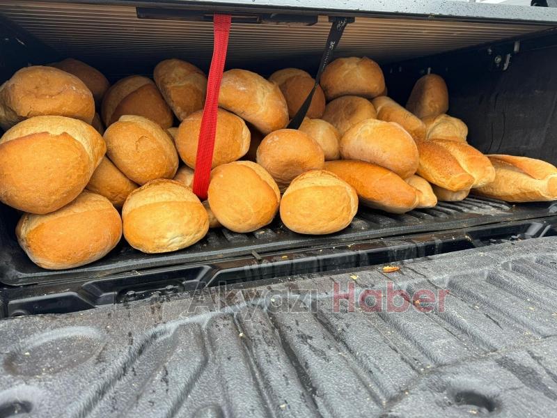 Akyazı Acelle Yaylası’nda Karlı Kış Şartlarında Yaban Hayvanlarına Yardım