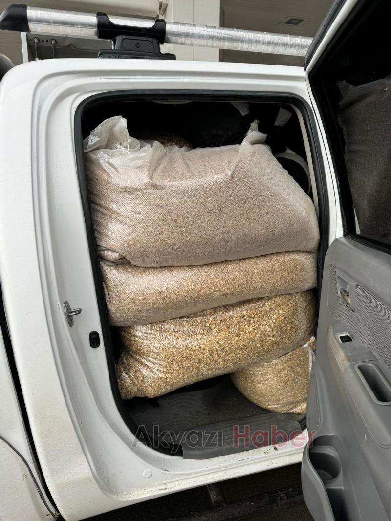 Akyazı Acelle Yaylası’nda Karlı Kış Şartlarında Yaban Hayvanlarına Yardım