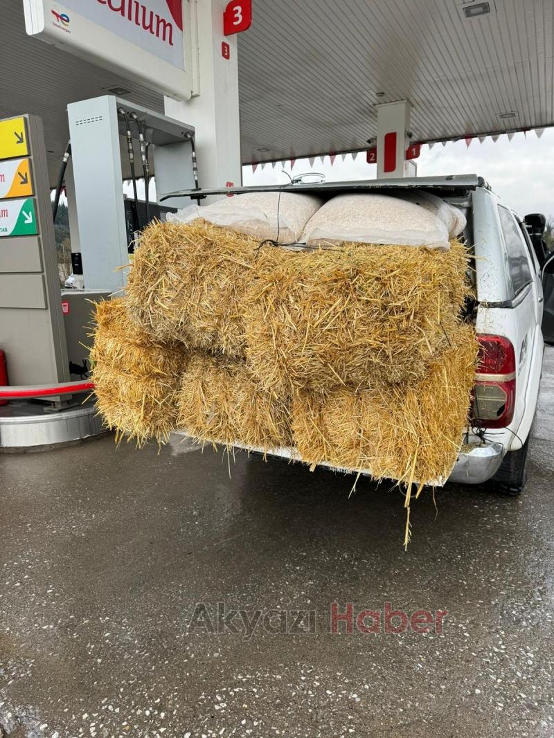 Akyazı Acelle Yaylası’nda Karlı Kış Şartlarında Yaban Hayvanlarına Yardım