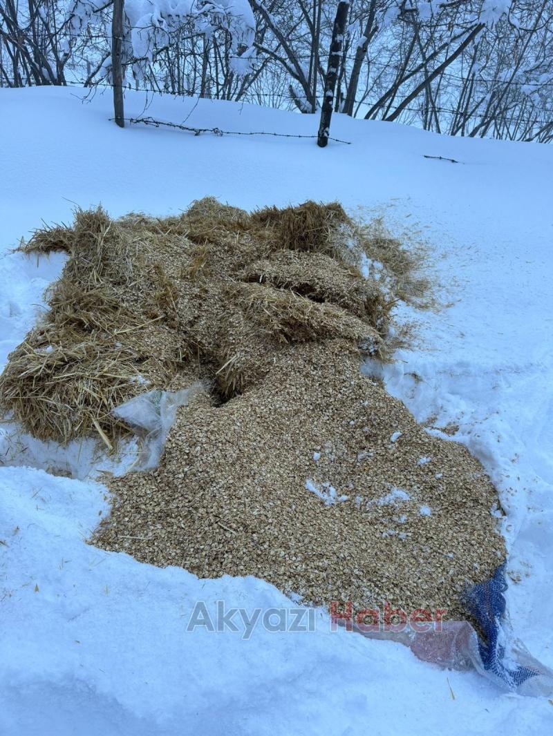 Akyazı Acelle Yaylası’nda Karlı Kış Şartlarında Yaban Hayvanlarına Yardım