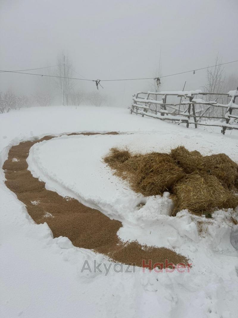 Akyazı Acelle Yaylası’nda Karlı Kış Şartlarında Yaban Hayvanlarına Yardım