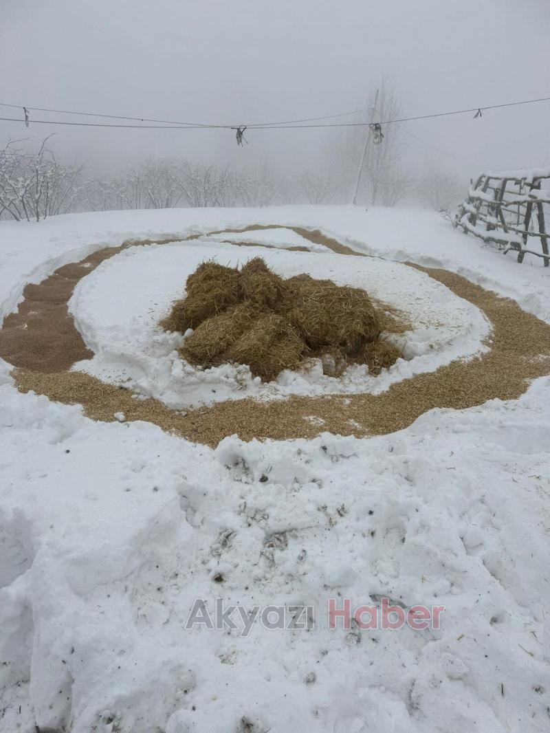 Akyazı Acelle Yaylası’nda Karlı Kış Şartlarında Yaban Hayvanlarına Yardım