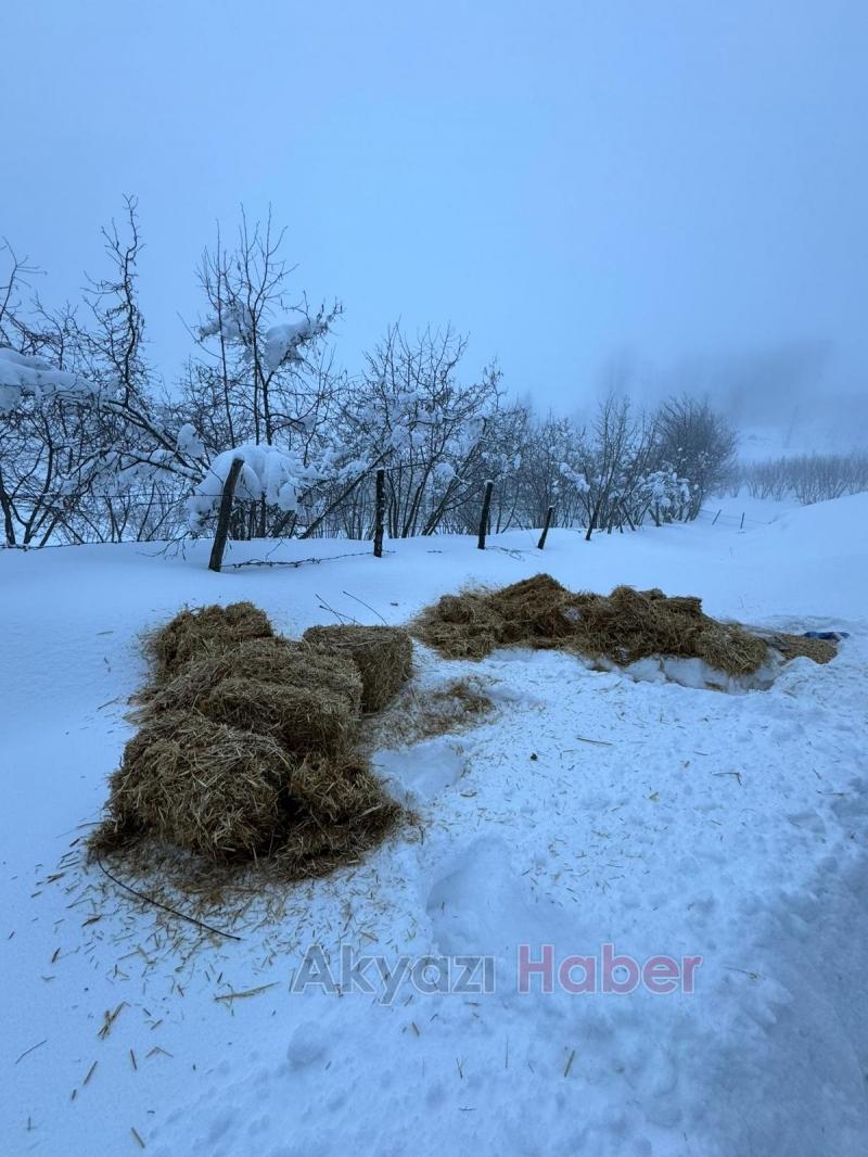 Akyazı Acelle Yaylası’nda Karlı Kış Şartlarında Yaban Hayvanlarına Yardım