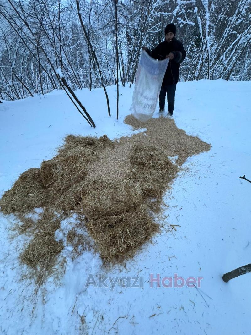 Akyazı Acelle Yaylası’nda Karlı Kış Şartlarında Yaban Hayvanlarına Yardım