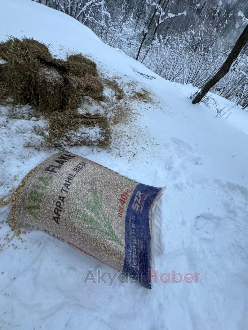 Akyazı Acelle Yaylası’nda Karlı Kış Şartlarında Yaban Hayvanlarına Yardım