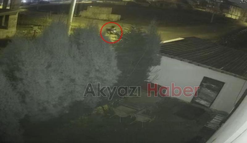 Motosiklet hırsızları yakalandı